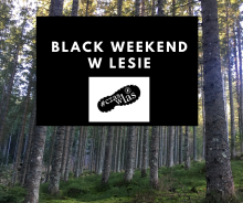 BLACK WEEKEND czyli celebruj święto w Lasach Beskidu Niskiego