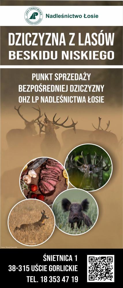 Fot.: Waldemar Feculak/portalpracowniczy.lasy.gov.pl